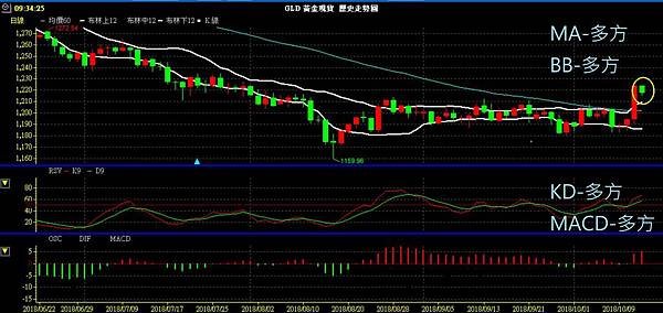 GLD XAU 黃金 貴金屬