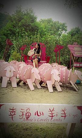IMG_5831086222101.jpeg