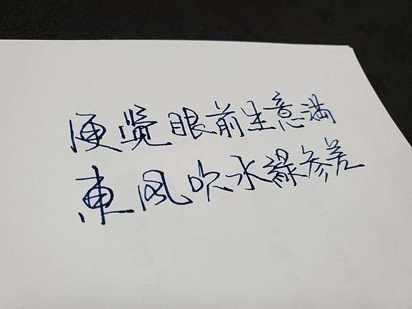 直液式鋼珠筆 試寫—1130204