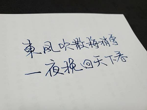 直液式鋼珠筆 試寫—1130204