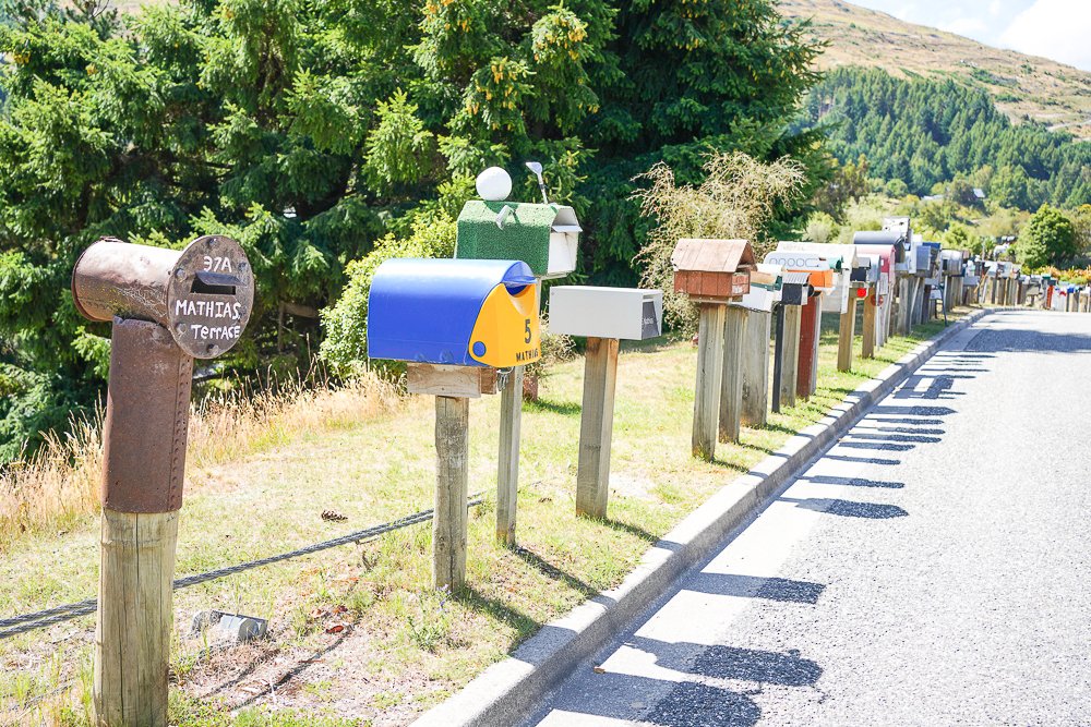 紐西蘭(南島) | Cardrona Bra Fence 胸