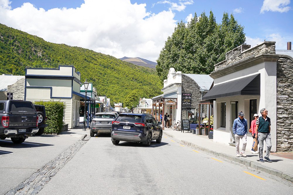 紐西蘭(南島) | Cardrona Bra Fence 胸