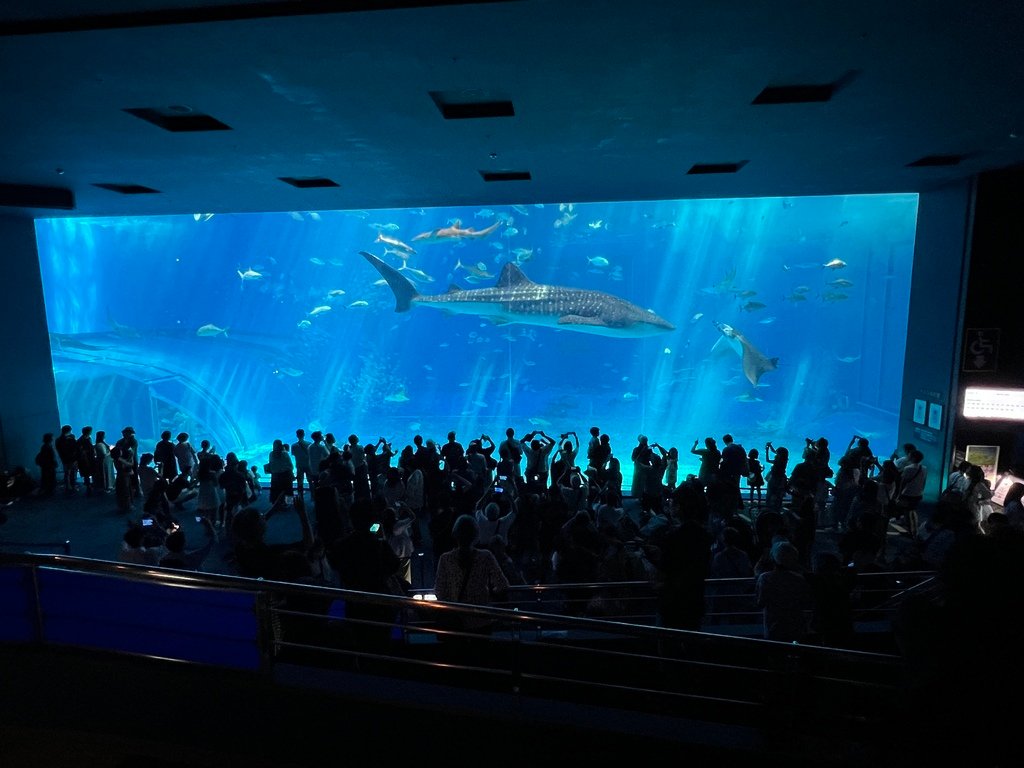 沖繩 | 自駕旅行 開往「美國村」、「美麗海水族館」、「古宇