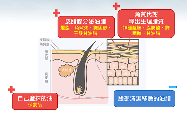 螢幕擷取畫面 2021-01-19 011921.png