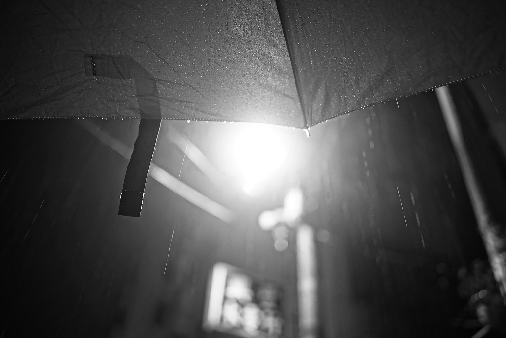 DSC04129.png
