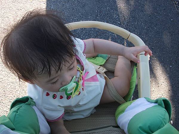 DSCF9333.JPG
