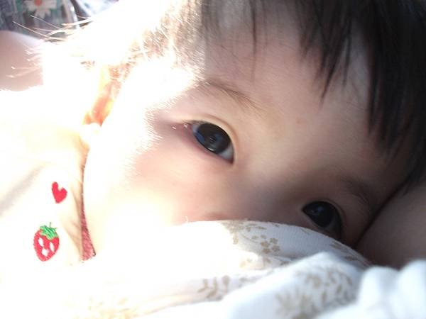 DSCF9343.JPG