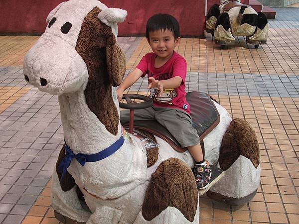 DSCF9542.JPG
