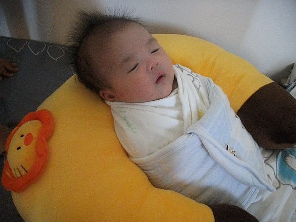 DSCF4175.JPG