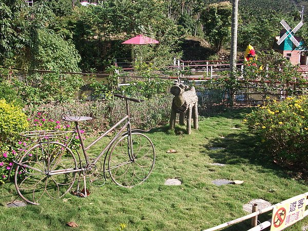 DSCF6542.JPG