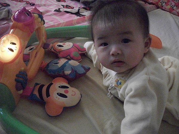 DSCF6279.JPG