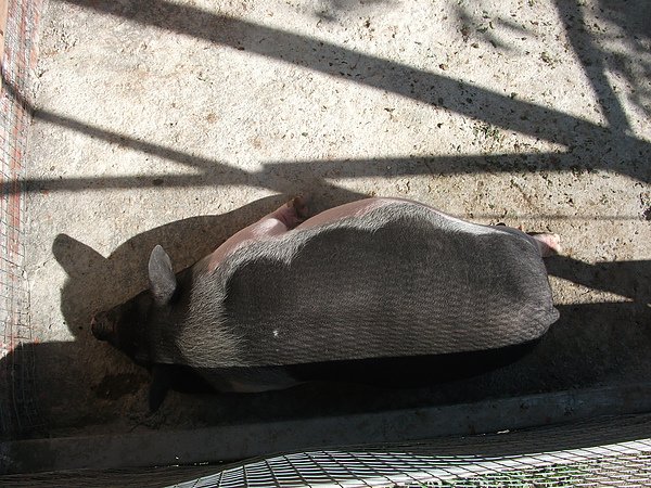 DSCF6549.JPG