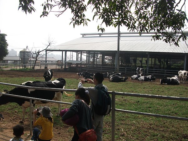 DSCF7571.JPG