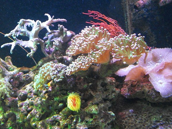 DSCF6492.JPG