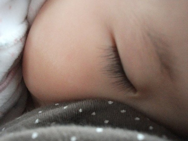 DSCF7511.JPG