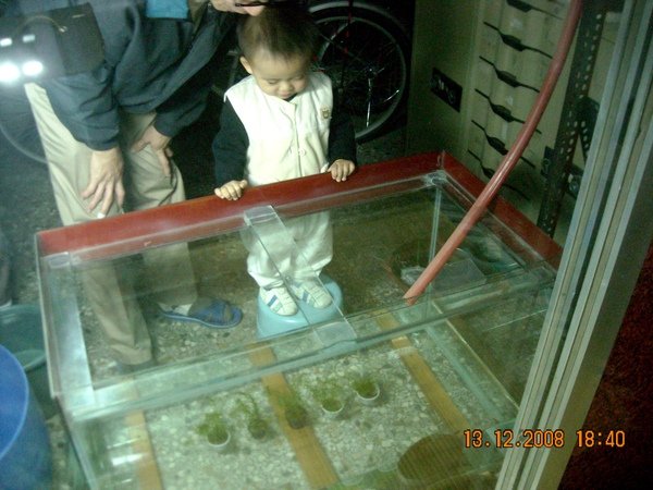 DSCN3025.JPG