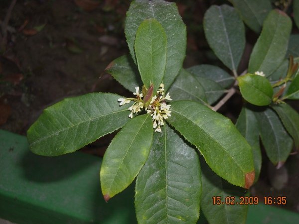 DSCN4495.JPG