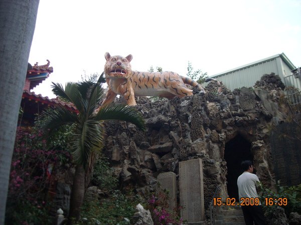 DSCN4502.JPG