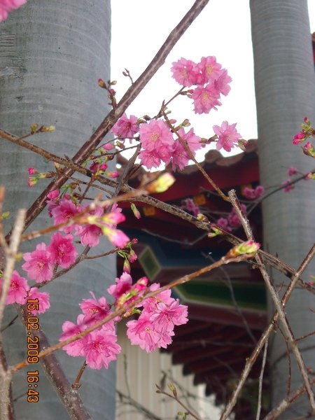 DSCN4511.JPG