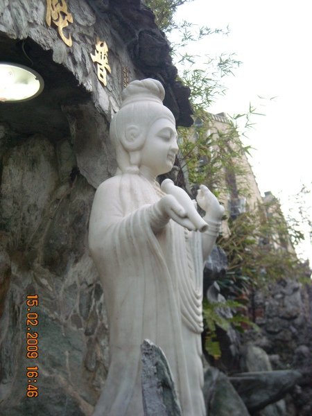 DSCN4515.JPG