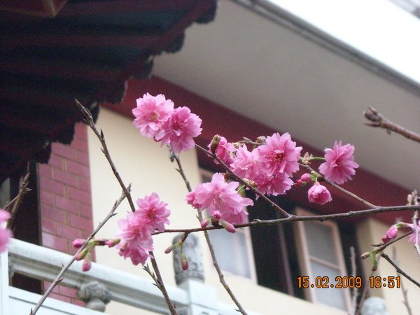 DSCN4517.JPG