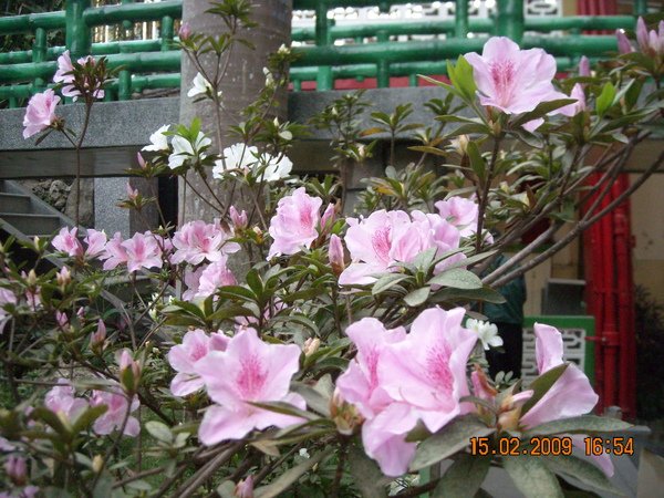 DSCN4519.JPG