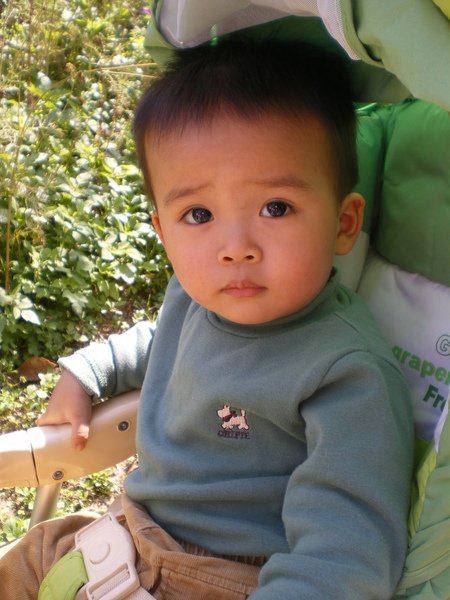 IMGP2287.JPG
