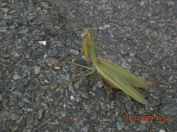 DSCN5276.JPG