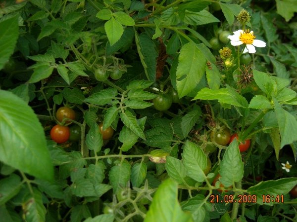 DSCN5272.JPG