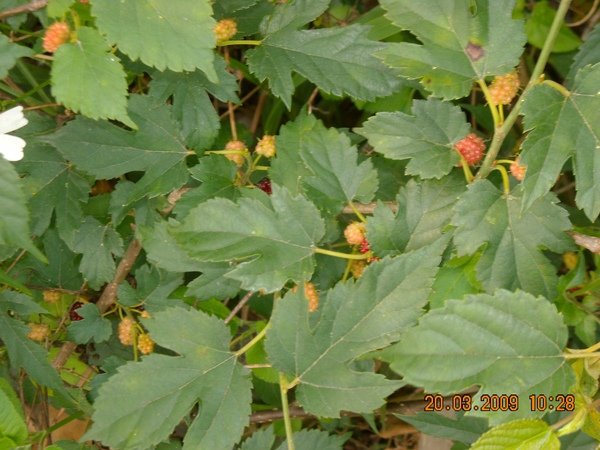 DSCN5229.JPG