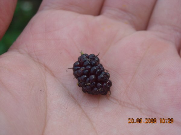 DSCN5232.JPG