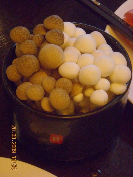 DSCN5248.JPG
