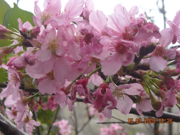 DSCN5196.JPG