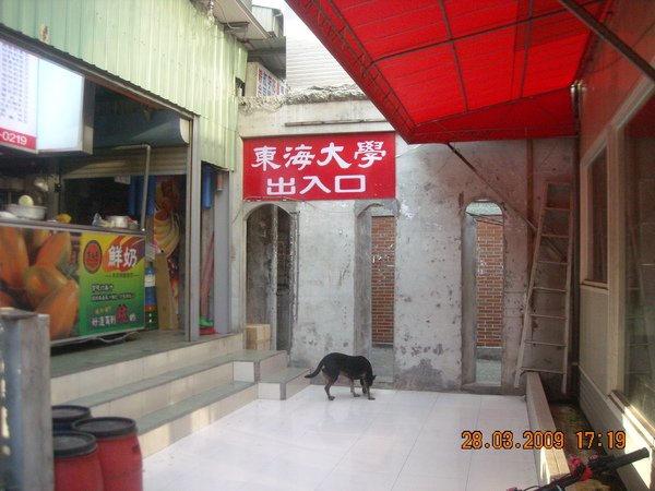 DSCN5460.JPG