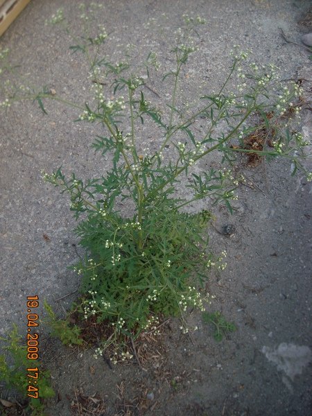 DSCN6269.JPG