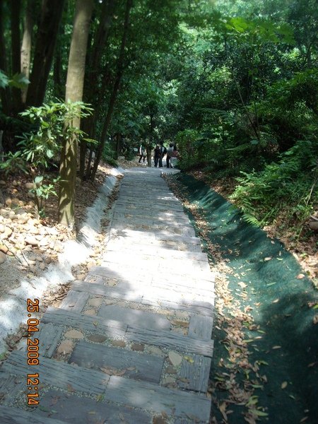 DSCN6360.JPG