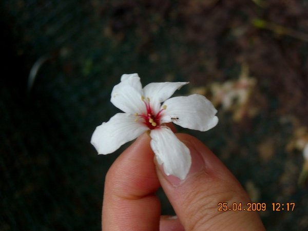 DSCN6366.JPG