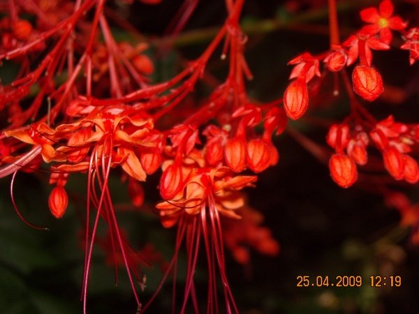 DSCN6368.JPG