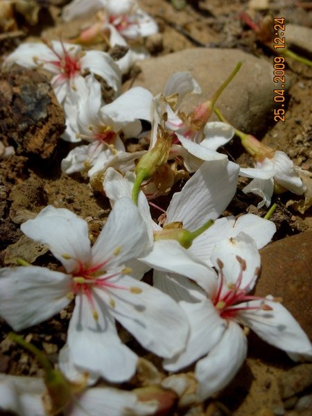 DSCN6378.JPG
