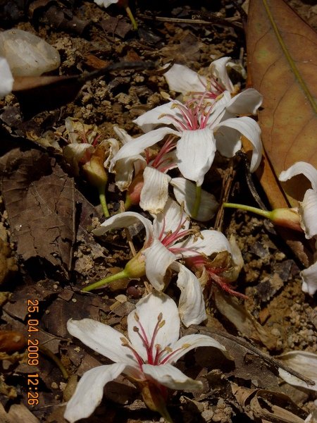 DSCN6383.JPG