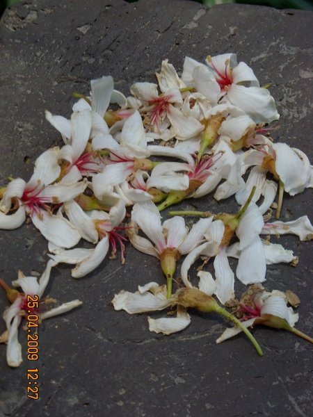 DSCN6384.JPG