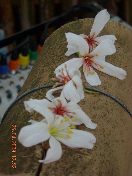 DSCN6391.JPG