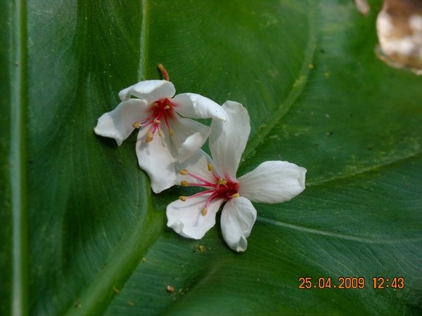 DSCN6413.JPG