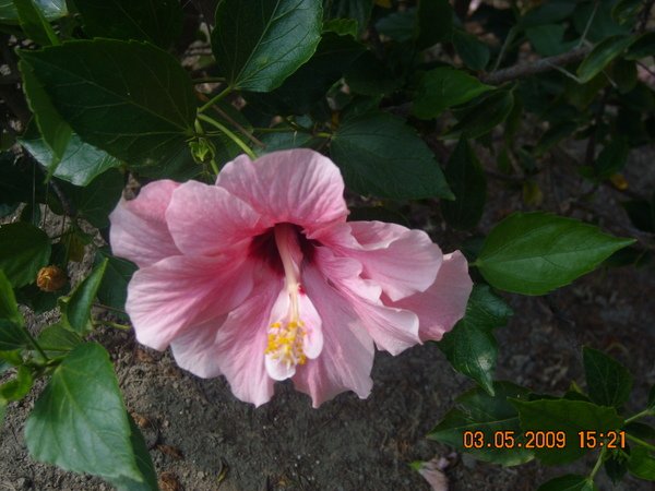 DSCN6741.JPG