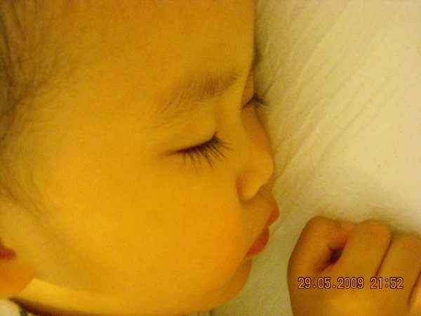 DSCN7533.JPG
