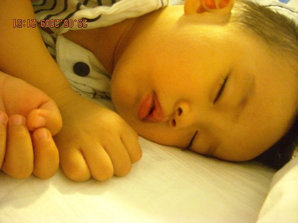DSCN7531.JPG