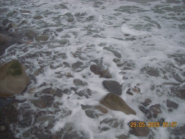 DSCN7470.JPG