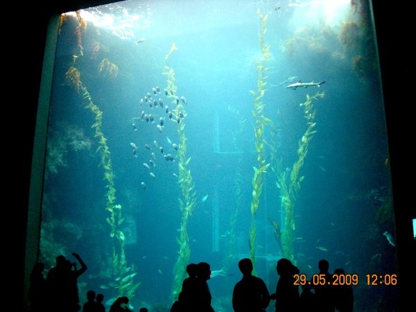 DSCN7391.JPG