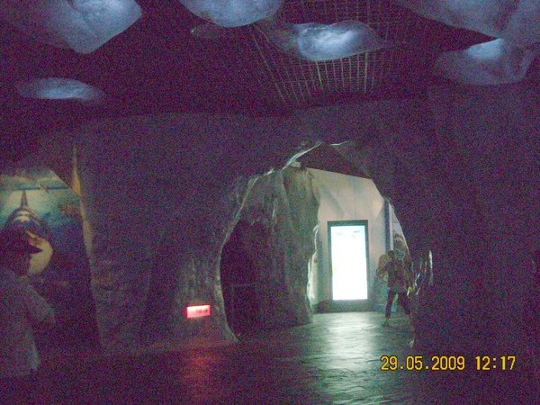DSCN7403.JPG