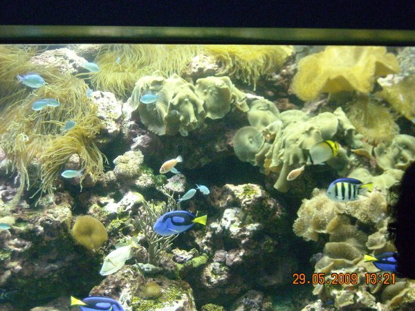 DSCN7433.JPG